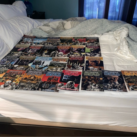The Walking Dead Comic Book Collection comics 1-24 not the full set - Picture 2 of 2